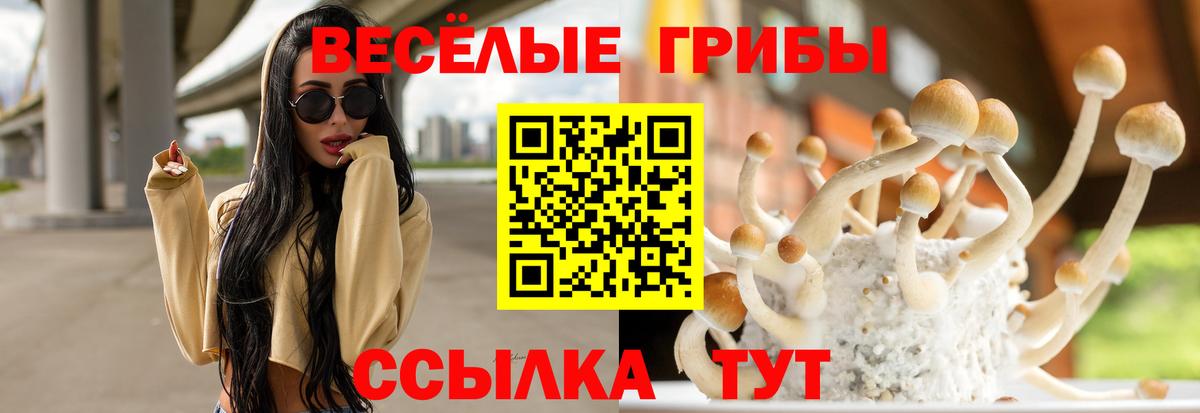 Мичуринск  Псилоцибиновые грибы MAGIC MUSHROOMS  Вход с VPN 