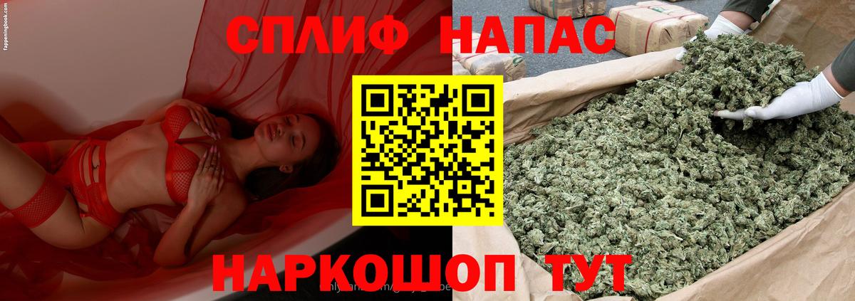 Каннабис MAZAR Мичуринск